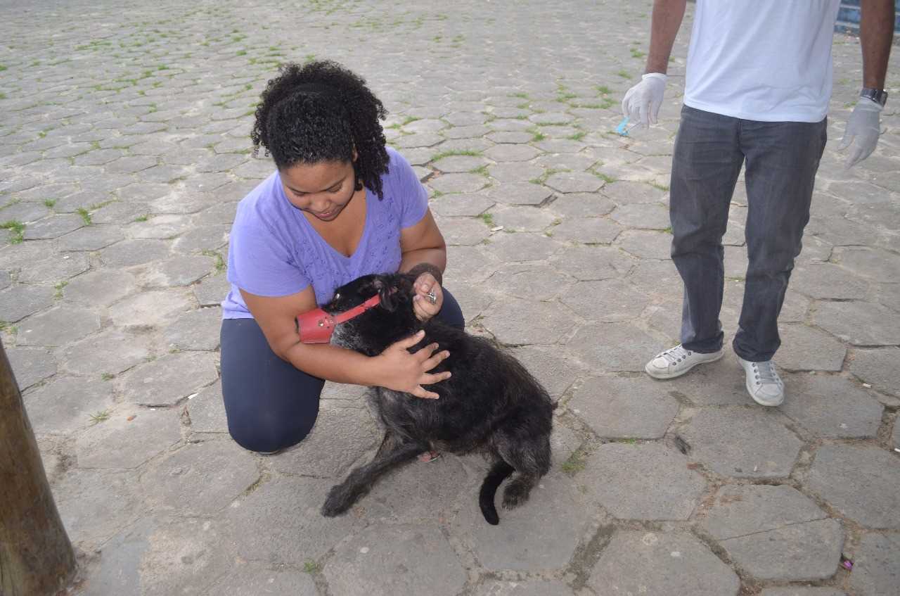 Vacinação